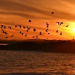 Doonbeg Holiday Cottages Semesterbostad *