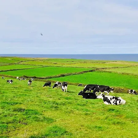Prázdninový dům Doonbeg Holiday Cottages