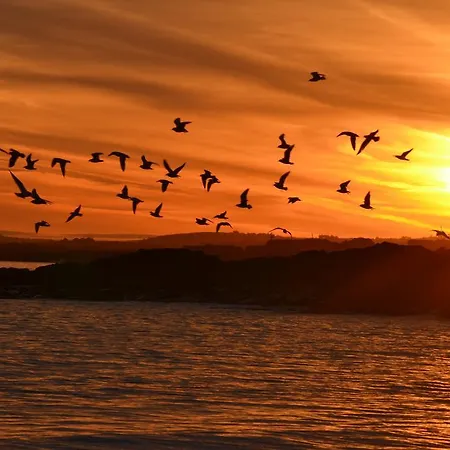 Doonbeg Holiday Cottages 펜션 *