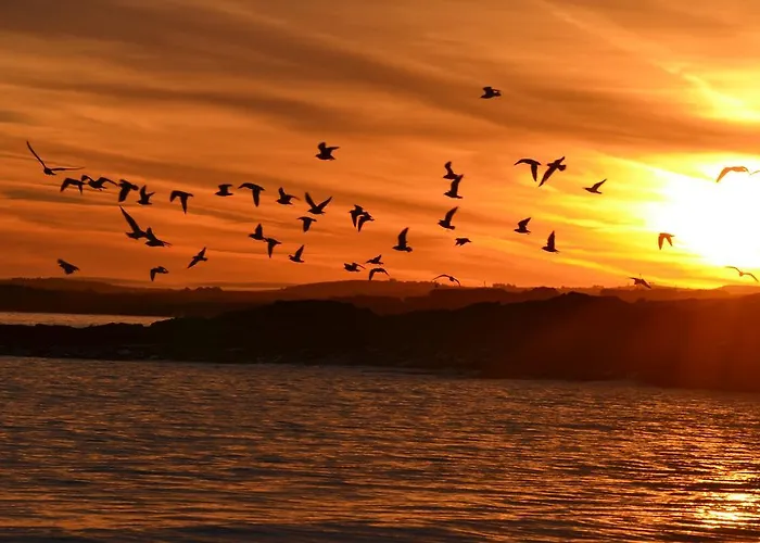 Doonbeg Holiday Cottages بيت للعطل *